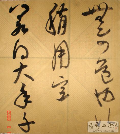 DSC04084.JPG