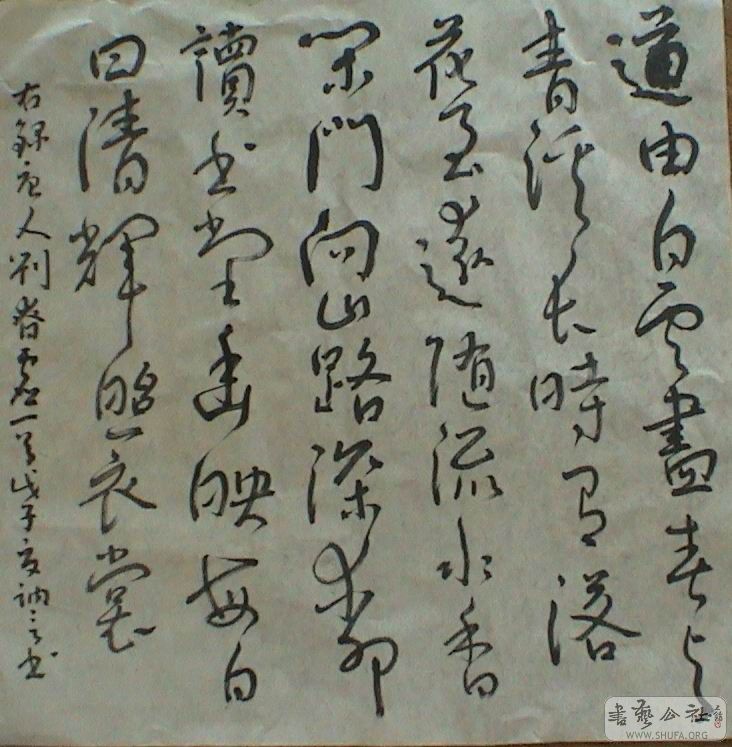 DSC07524.JPG