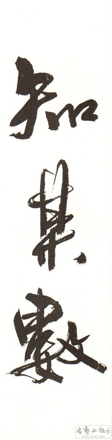 43.JPG