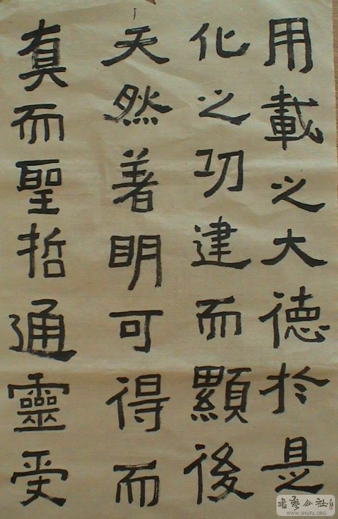 DSC07520.JPG