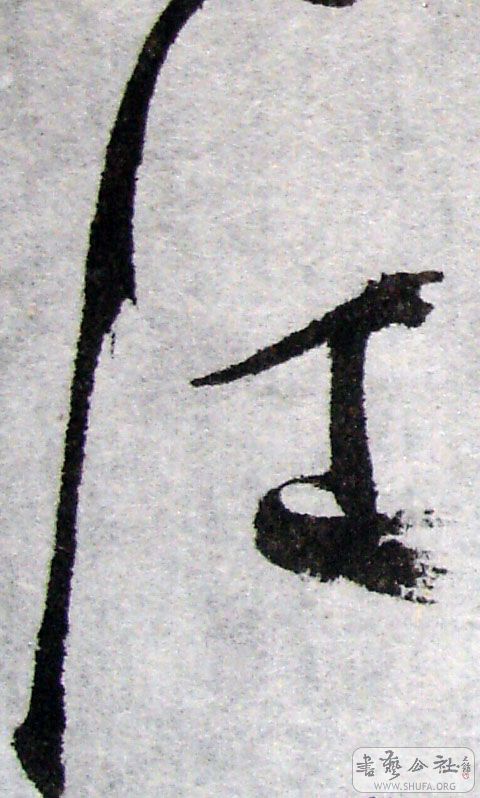 59.jpg