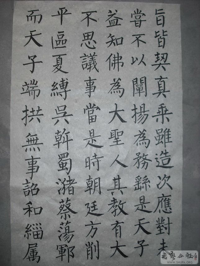 DSCF05231.jpg