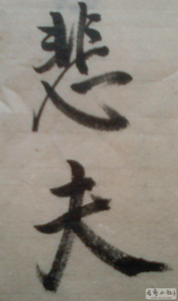 SP_A0040.jpg