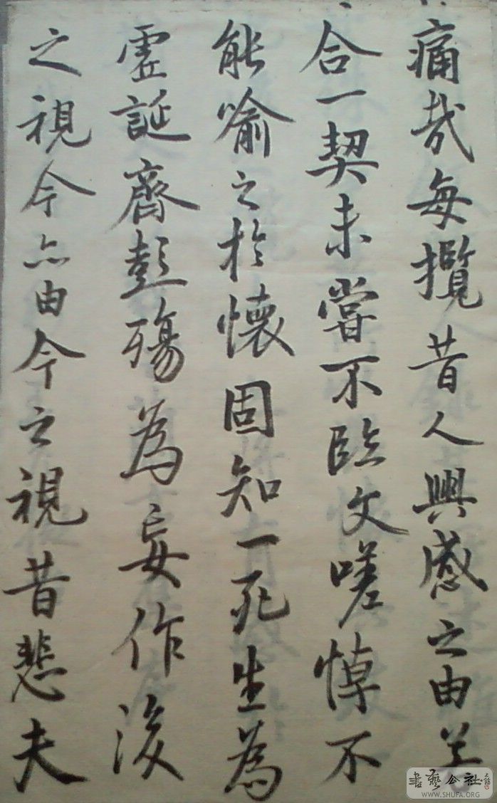 SP_A0038.jpg