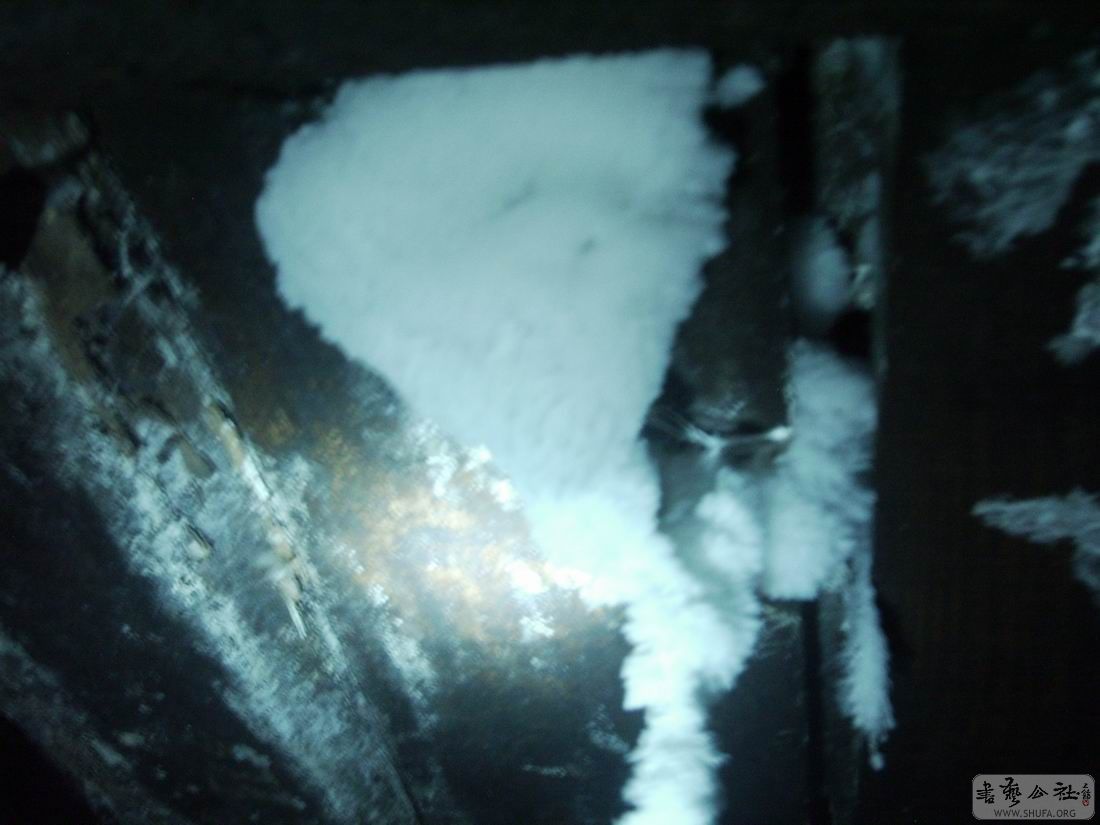 ȻƬ00 022.jpg