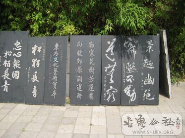 IMG_2187.JPG