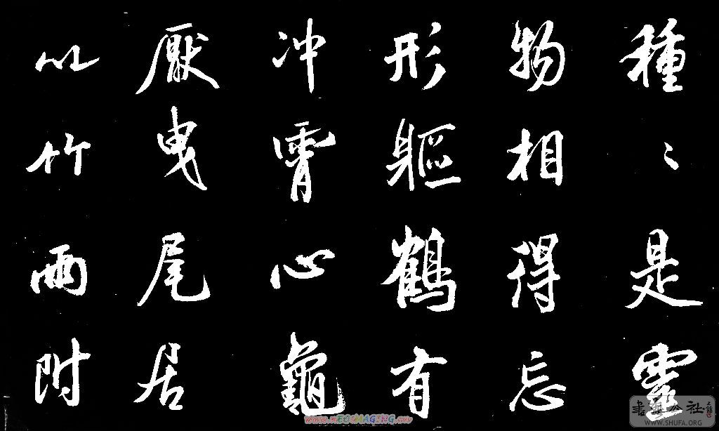 224_2467.jpg