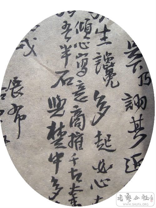 ALIM2776.JPG