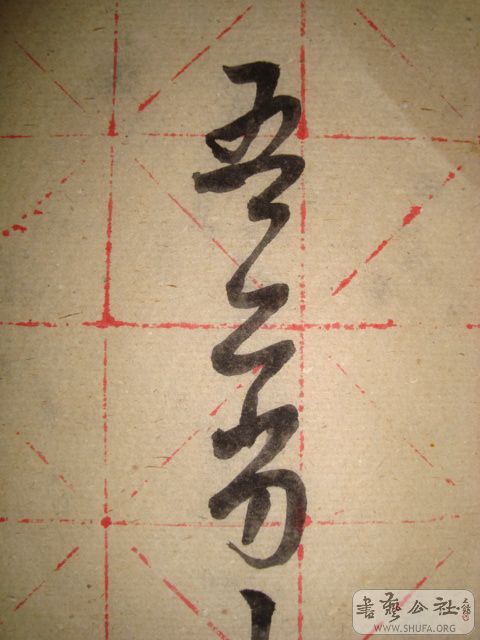 DSC01013.JPG