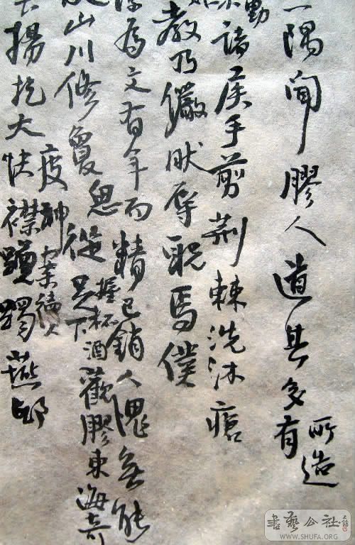 ALIM2774.JPG