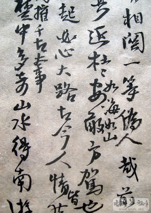 ALIM2779.JPG