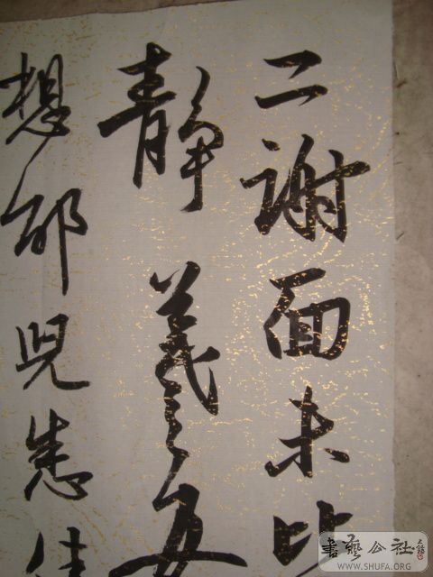 DSC01036.JPG