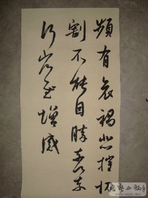 DSC01030.JPG