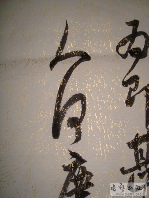 DSC01042.JPG