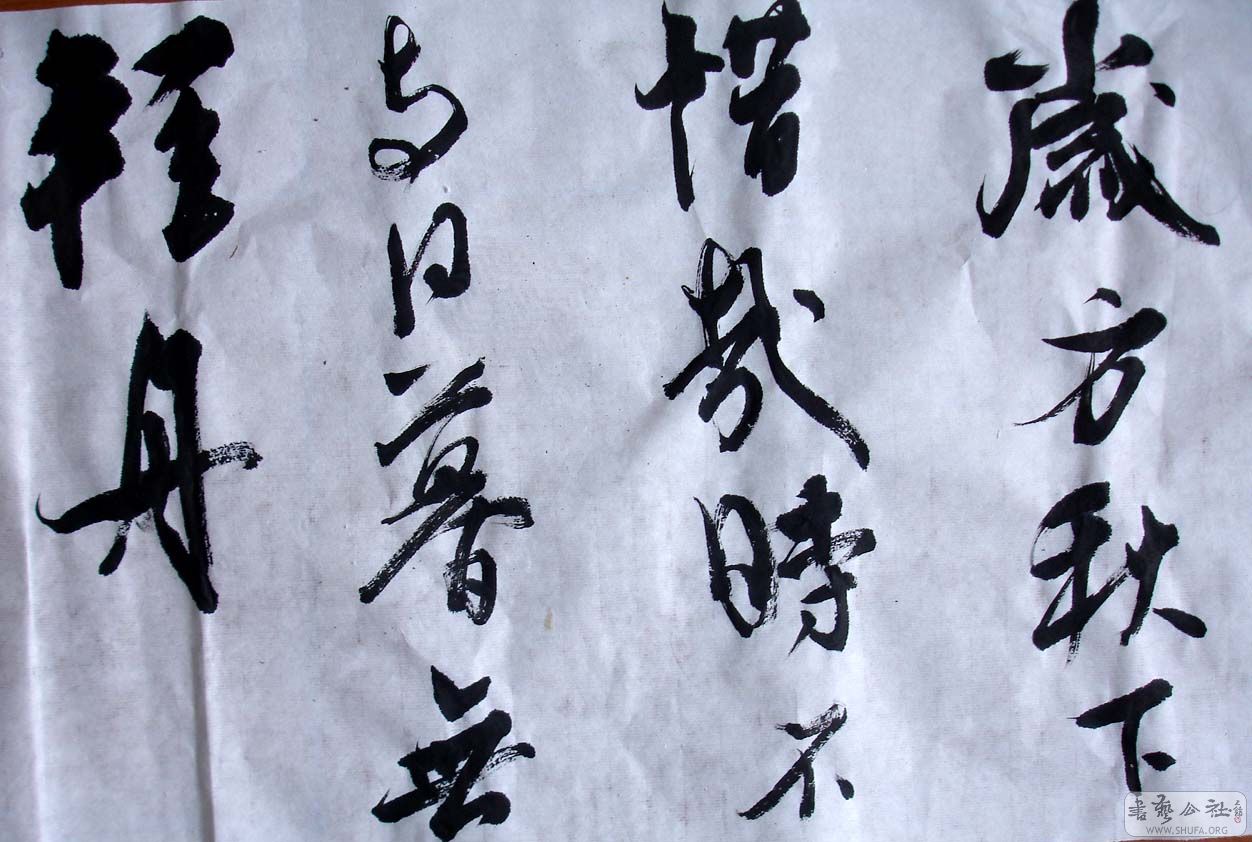 DSC04274.JPG