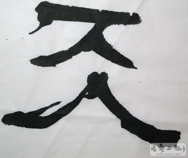 SNV12845.JPG
