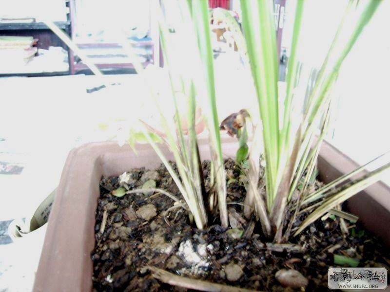 20080318_b83a24a27d031c0571beFa7LGFIjbiP8.jpg