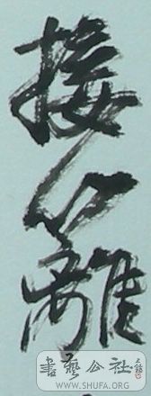 DSCN3827.jpg