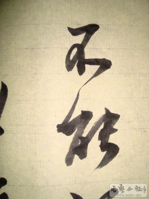 DSC01083.JPG