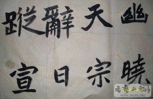 SDC12866.jpg