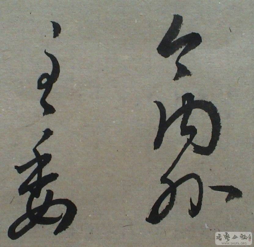DSC07617.JPG
