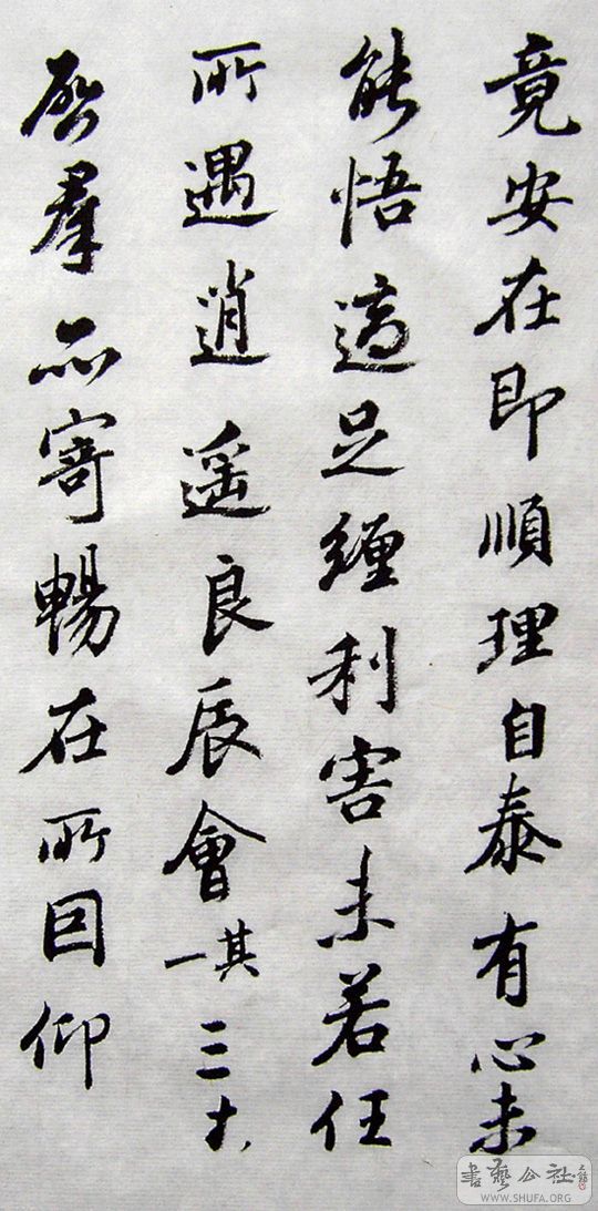 PICT6519.JPG