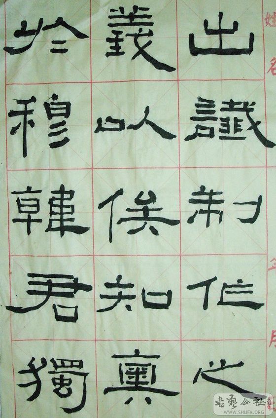 SNV12933.JPG