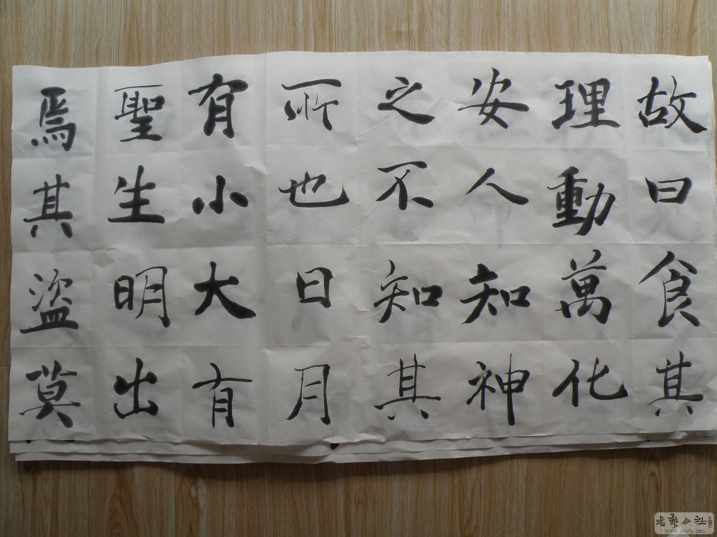 P9100310.JPG