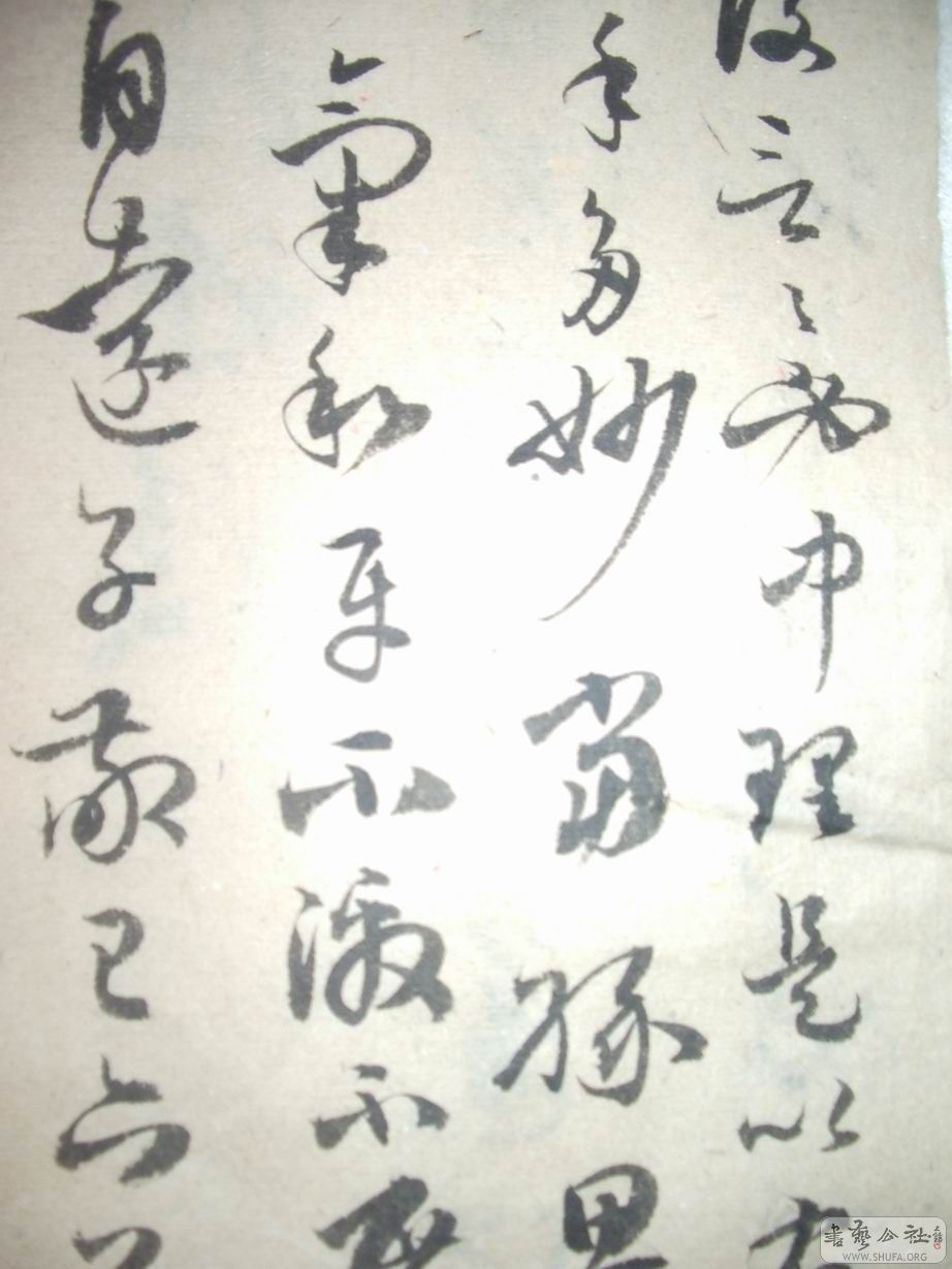 IMGP2516.JPG