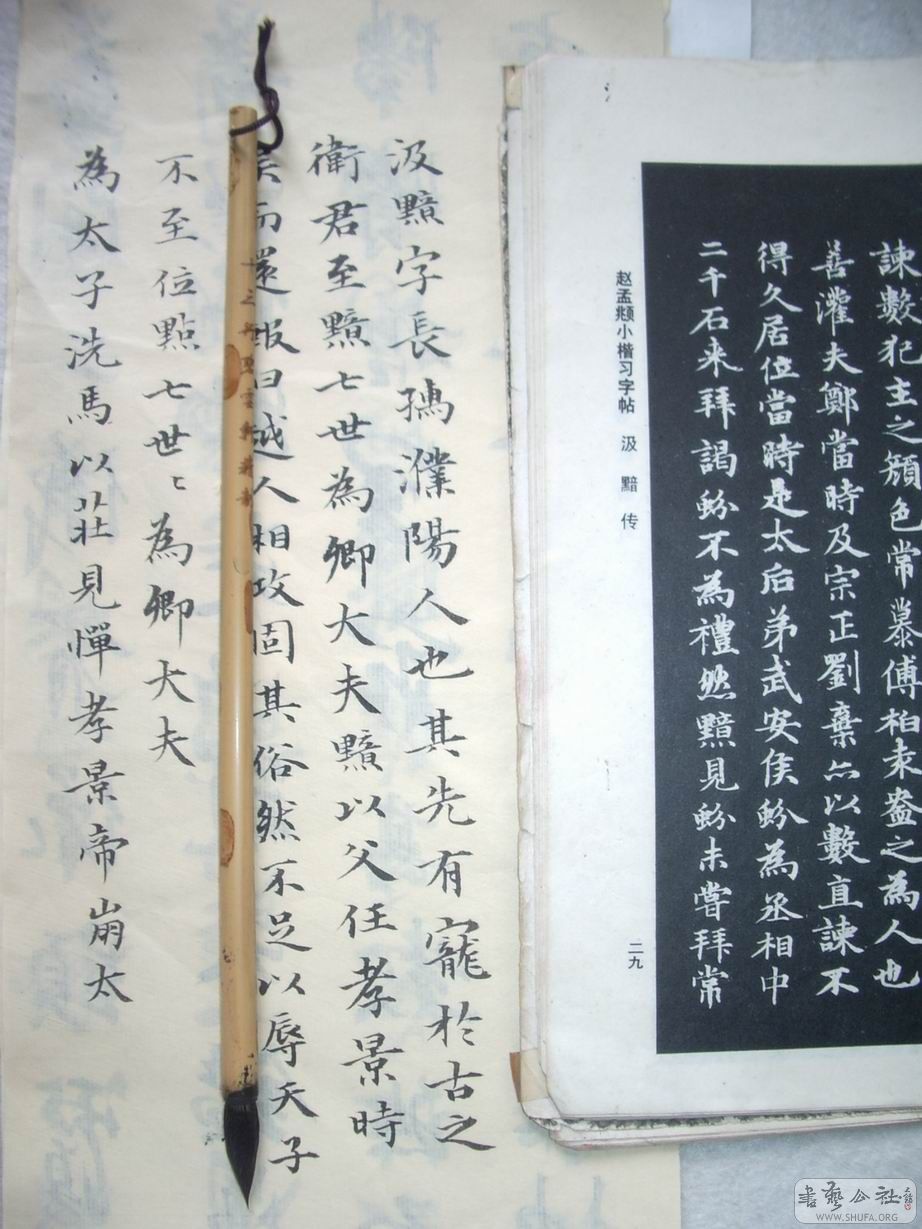 IMGP2517.JPG