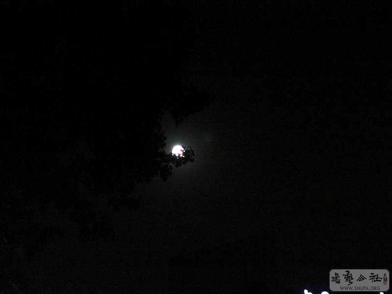 DSC02441.JPG