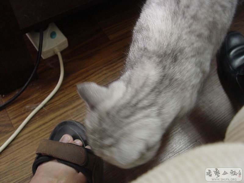 DSC01536.JPG