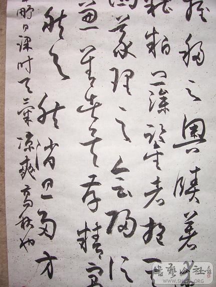 100_1678.JPG