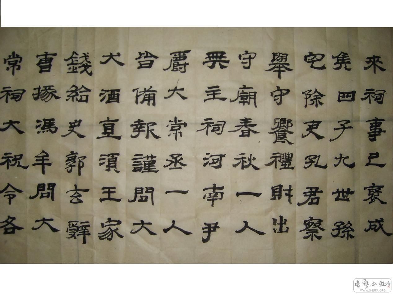 S6002071.JPG