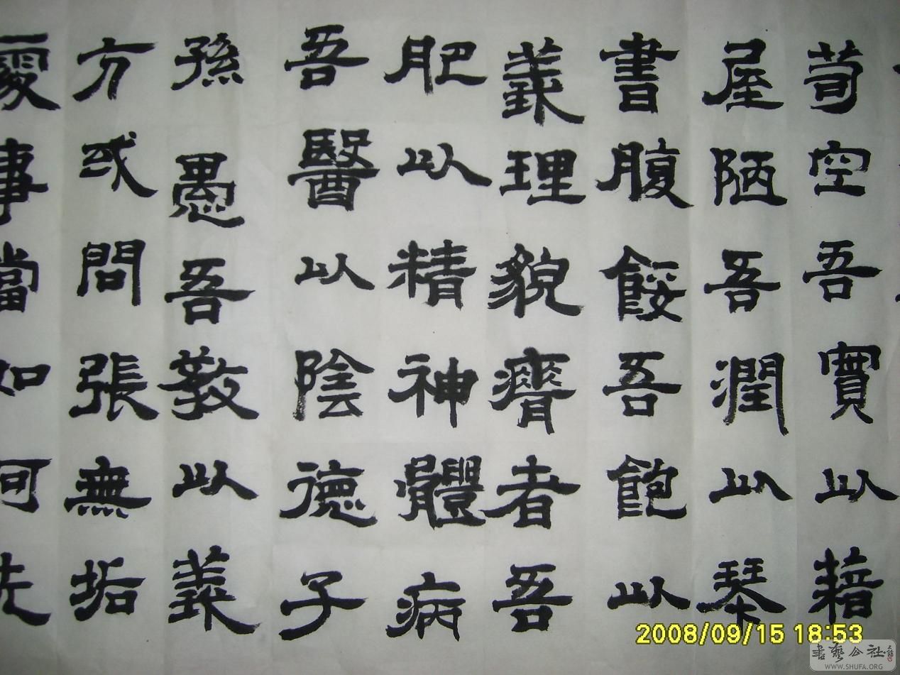 S6002078.JPG