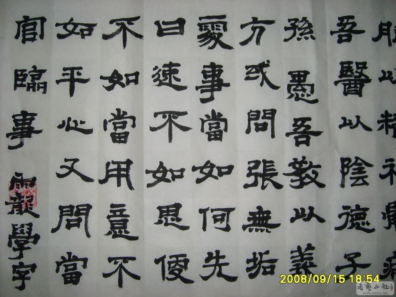 S6002079.JPG