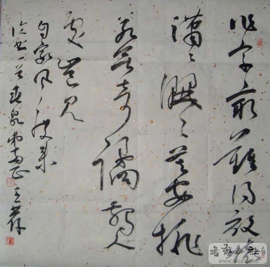 SDC10224.jpg