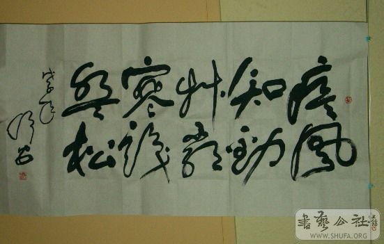 P1000808.jpg
