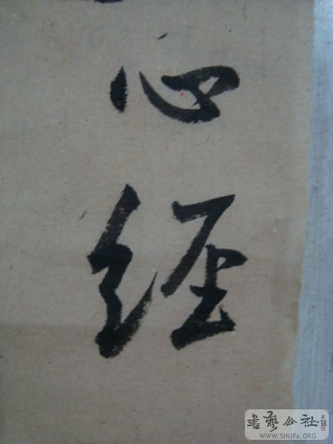 ת DSC01333.JPG