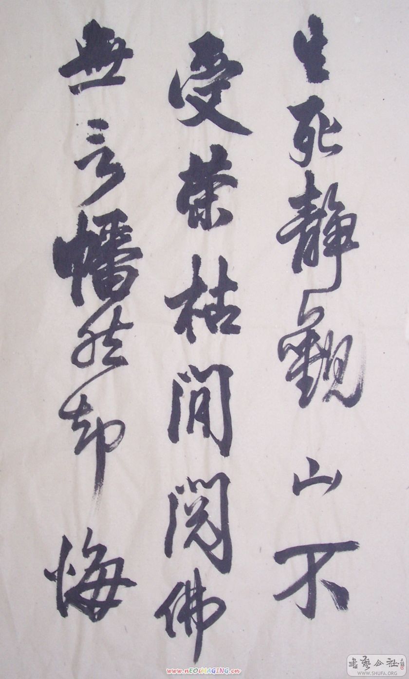 100_9823.jpg