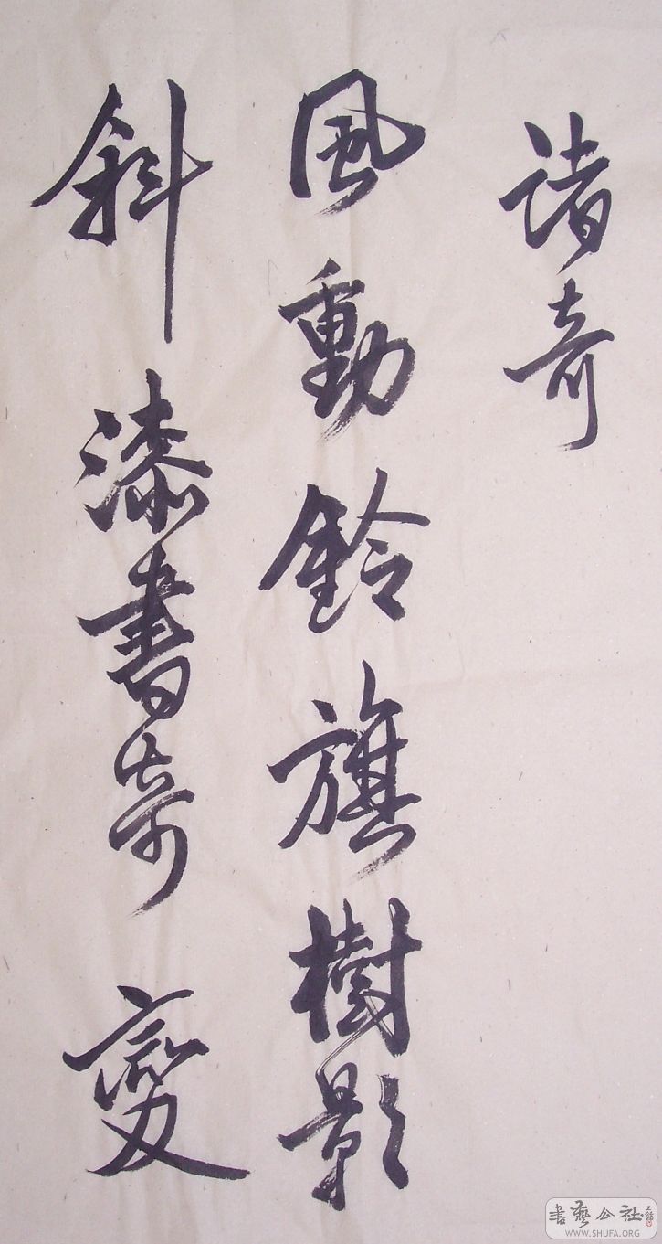 100_9800.jpg