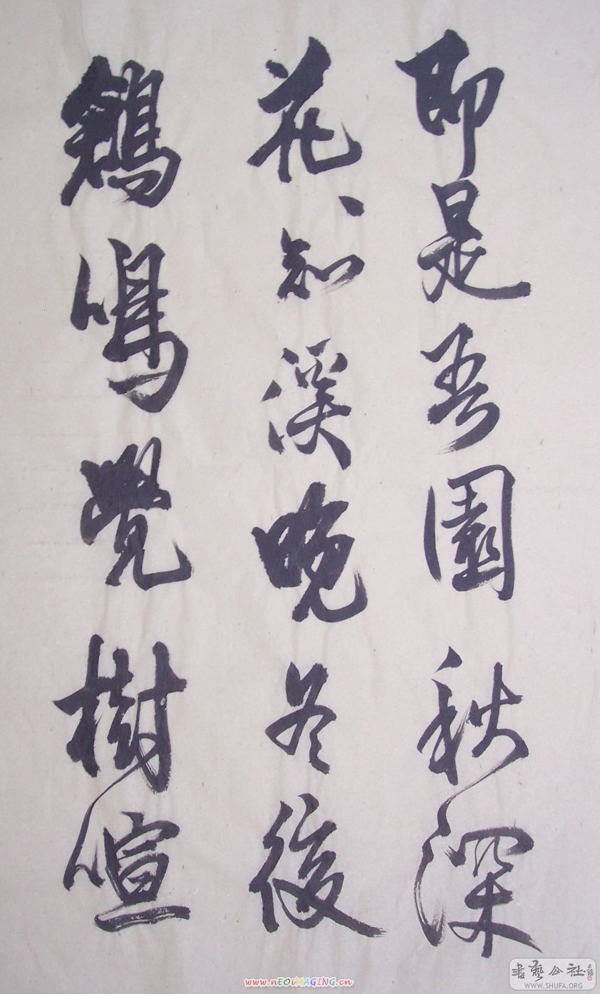 100_9822.jpg
