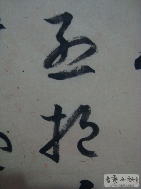 ��ת DSC01385.JPG