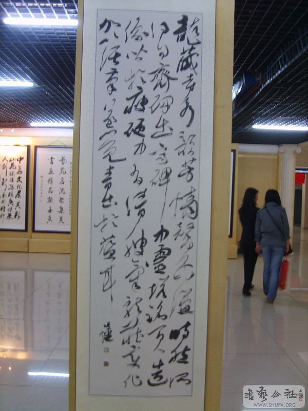 S5005288.jpg