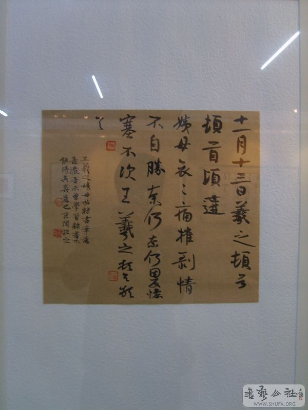 S5005338.jpg