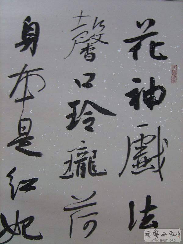S5005287.jpg