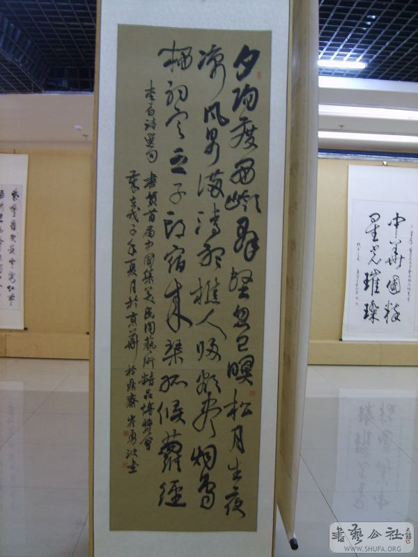 S5005313.jpg