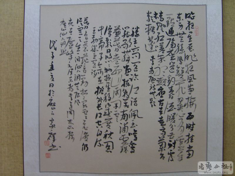 S5005321.jpg