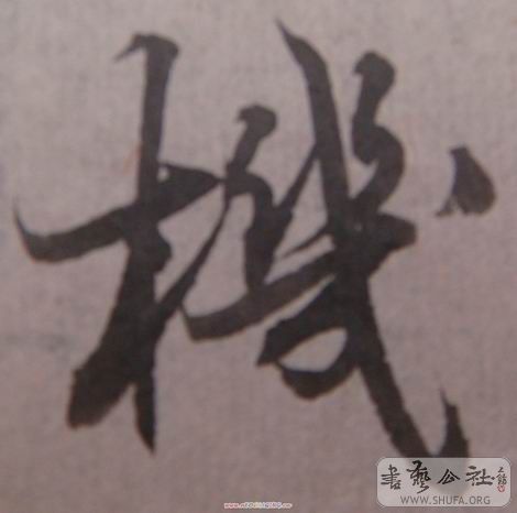DSC01757.JPG