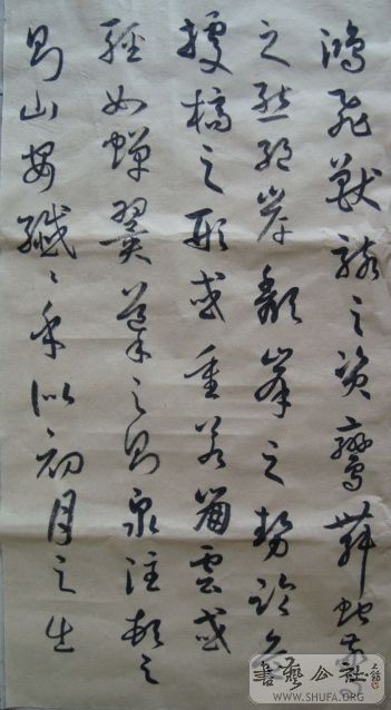 ��ת DSC01399.jpg